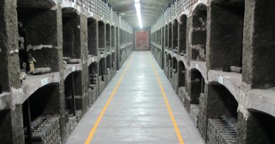 Экскурсия Дегустация лучших крымских вин на знаменитом заводе в Массандре фото 5814 Экскурсия Дегустация лучших крымских вин на знаменитом заводе в Массандре фото 5814