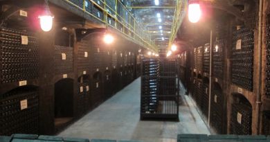 Экскурсия Дегустация лучших крымских вин на знаменитом заводе в Массандре фото 5815 Экскурсия Дегустация лучших крымских вин на знаменитом заводе в Массандре фото 5815