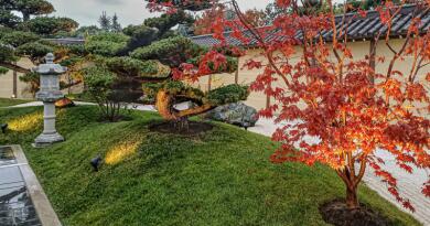 Экскурсии в Японский сад 6 чувств из Никиты 2025 Экскурсии в Японский сад 6 чувств из Никиты 2025