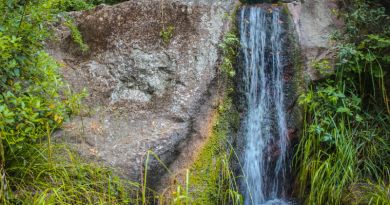 Авто-пешеходная экскурсия из Алушты (фото 23)