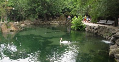 Авто-пешеходная экскурсия из Алушты (фото 38)